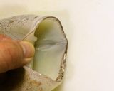 A picture of step 5 of How To Clean Squid - You Can Eat The Legs and Liver, Too!.