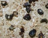 Foto langkah ke 9 dari resep Roti Pisang Kurma Almond aroma Moka.
