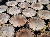 Húsvéti linzer sütemény (gluténmentes, tejmentes)