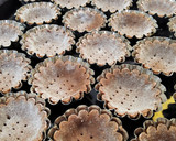 Húsvéti linzer sütemény (gluténmentes, tejmentes) recept fázis 4 fotója