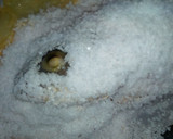 Foto del paso 3 de la receta: Lubina a la sal