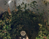 மூவர்ண சாதம் ரெசிபி ஸ்டேப் 9 புகைப்படம்