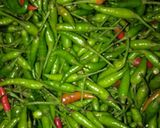 Foto langkah ke 1 dari resep Sambal Terasi Pecel Lele Khas Lamongan.