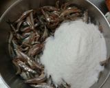 Foto langkah ke 2 dari resep Budu Homemade / Rusip (Fermented Anchovy sauce).