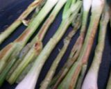 A picture of step 7 of Sig's Simple Scallion Treat.