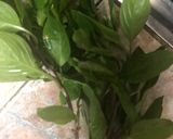 รูปขั้นตอนการทำที่ 2 ของ 🌿หอยแมลงภู่นึ่งสมุนไพร🐚