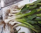 Foto del paso 1 de la receta Puerros silvestres en vinagreta