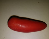 Foto del paso 4 de la receta: Huevo con tomate cherry y poro