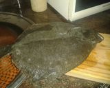 Foto del paso 1 de la receta Rodaballo al horno