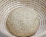 A picture of step 6 of Whole Wheat Pain de Campagne.