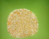 Foto langkah ke 2 dari resep CornDog Ala Ala.