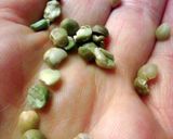 A picture of step 7 of Split Pea Soup.