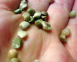 A picture of step 7 of Split Pea Soup.