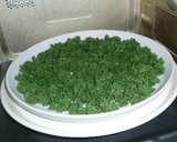 A picture of step 2 of Drying and Storing Parsley.