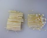 A picture of step 2 of Enoki and Wakame Miso Soup.