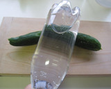 A picture of step 4 of Pounded Cucumber Sprinkled with Sesame Salt.