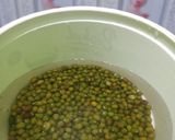 Foto langkah ke 1 dari resep 44. Bubur kacang ijo-kolang kaling fiber creme.