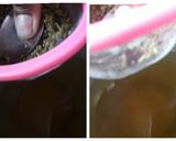A picture of step 4 of Fennel Seeds (Saunf) Sharbat.