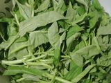 Kangkung Saos Padang