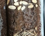 Foto langkah ke 9 dari resep Brownies Panggang.