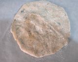 A picture of step 2 of Bysan ki roti.