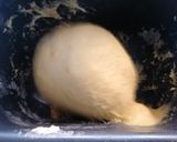 Foto del paso 2 de la receta 167. Panetone de pepitas de chocolate / Masa en panificadora