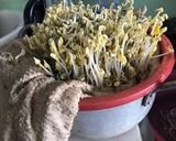 Hình bước làm 3 của món Làm giá đậu xanh