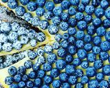 Pas rețetă Cheesecake 1 fotografie