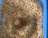 A picture of step 4 of Sesame TNT 🧨.