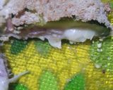 Foto del paso 5 de la receta: Milanesas de zapallito verde rellenas de jamón y queso