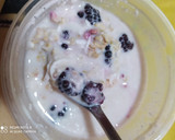 Foto del paso 9 de la receta: Postre fit con 12 g de proteína natural