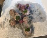 Une image de l'étape 2 de Vinaigre de fleurs de ciboulette.