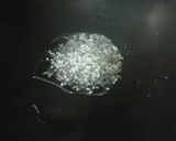 A picture of step 4 of RICE & Vegetable Chilla.
