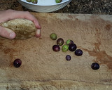 Foto del paso 2 de la receta: Aceitunas al estilo campo real (la recolección)