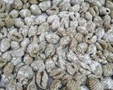 Foto del paso 3 de la receta: Ñoquis de lentejas