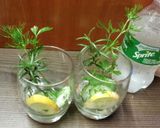 A picture of step 2 of Green topaz mist sparklers.