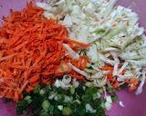 Foto langkah ke 2 dari resep Lumpia Sayur.