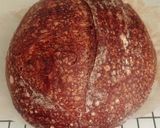 Foto langkah ke 18 dari resep Basic Chocolate Sourdough Bread (88%).
