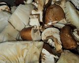 Foto del paso 7 de la receta: Presa ibérica en salsa de curry rojo