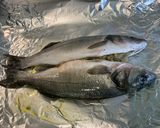 Une image de l'étape 4 de Bars farcis en papillote.