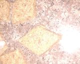 صورة لخطوة 1 من وصفة طمينة