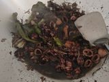 Cumi Hitam Enak dan Cepat