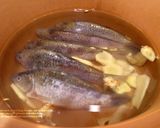 月子餐〡發奶聖品『鯽魚薑絲湯』的食譜步驟2照片