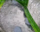 Foto langkah ke 4 dari resep Klepon Bunga Telang (Boh Rom Rom Bunga Telang).