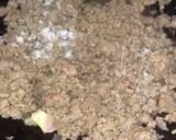 صورة لخطوة 4 من وصفة باذنجان محشي باللحم المفروم بالجبن و صلصة الطماطم