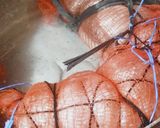 Foto del paso 6 de la receta: Matambre de Pollo!!🐥🐥