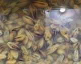 Foto langkah ke 1 dari resep Kerang Ijo Kupas Kuah Kuning.