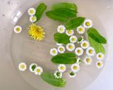 Hình bước làm 1 của món 🌱 Salad Hoa Cỏ (Cúc Tần & Bồ Công Anh)
