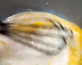 Foto langkah ke 2 dari resep Roti Sobek tanpa Mixer dan Oven.