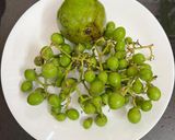A picture of step 1 of Lasoda (Gunda) Aachar.